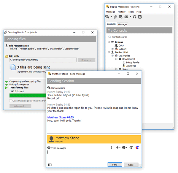 Exchange encrypted instant messages and files over office LAN, business networks